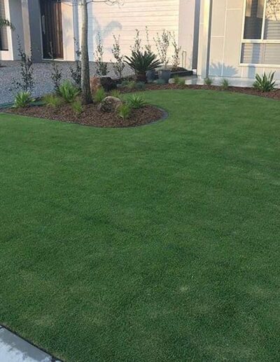 Sir Grange Zoysia